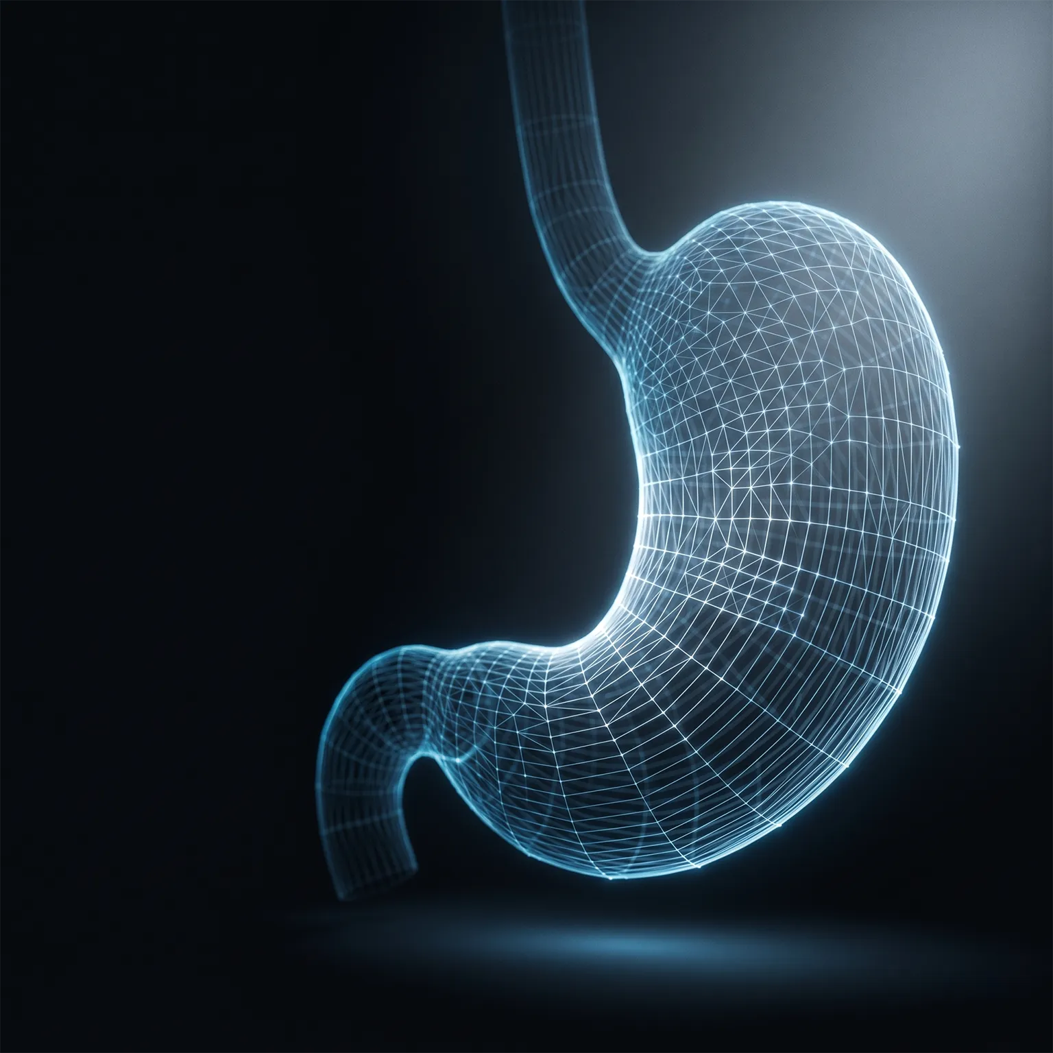 Weight-loss surgery care in Istanbul with Alpha Clinic Turkey